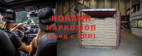 молекула духа Няндома