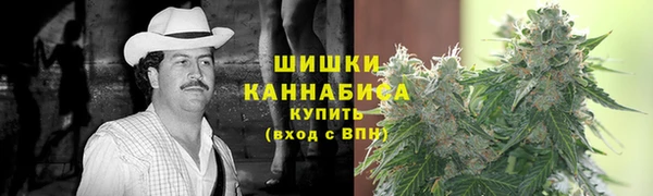 мдпв Осташков