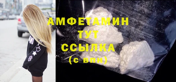 молекула духа Няндома