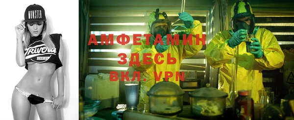 твердый Осинники