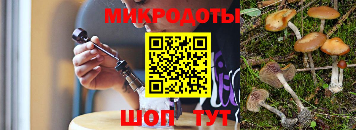 Галлюциногенные грибы MAGIC MUSHROOMS  Псилоцибиновые грибы Psilocybine cubensis  Вход с VPN  Отрадный 