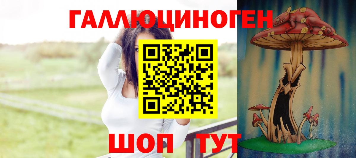 Псилоцибиновые грибы Psilocybe Отрадный